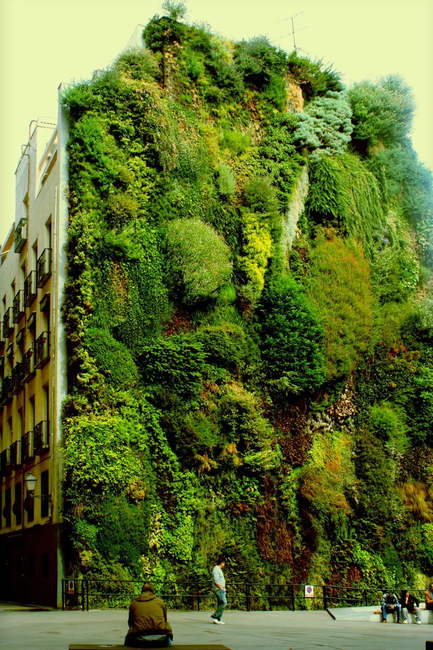 opticallyaroused:  Vertical garden in Madrid, Spain  
