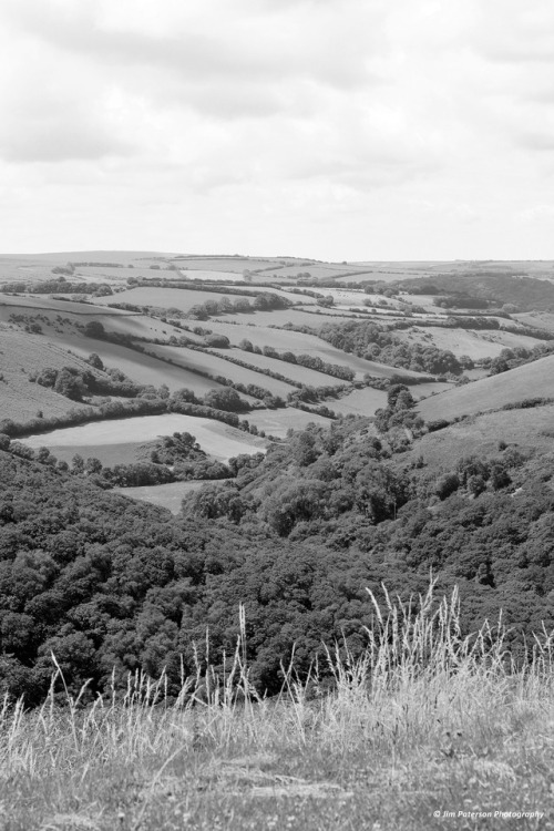 Exmoor - Devon, June 2017.©  Jim Paterson - All rights reserved.