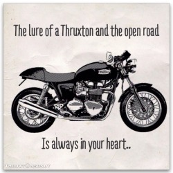 thruxtonsonly:  The lure of a Thruxton