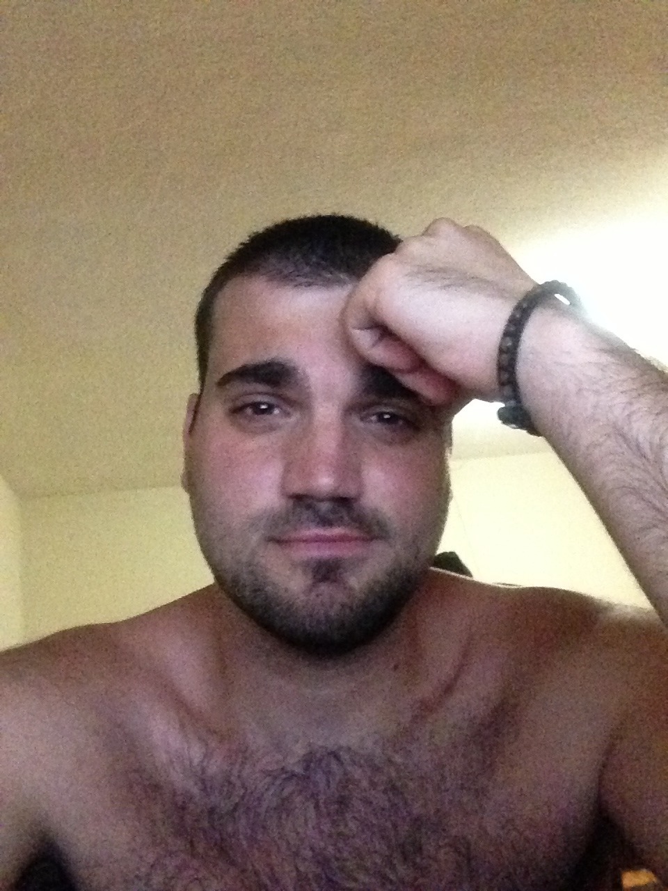 Bears and Muscle