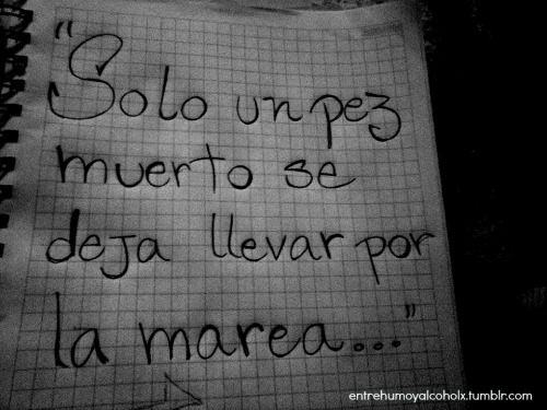entrehumoyalcoholx:  ¿Te levantarás a dar la pelea?¿Vivirás por tus sueños?¿Morirás por tus ideas?No sé… 