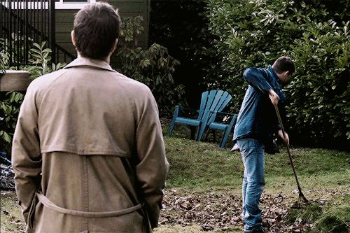 starlightcastiel:gif request↳ it’s something i know i can’t have