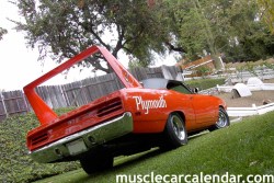 musclecardreaming:  70 Plymouth Superbird