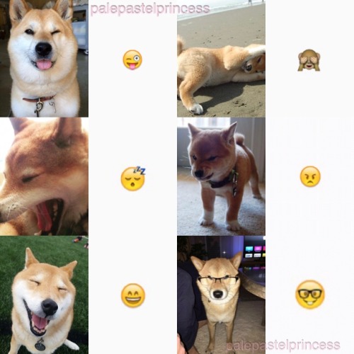 momokitsune: ✨shibes+emojis✨