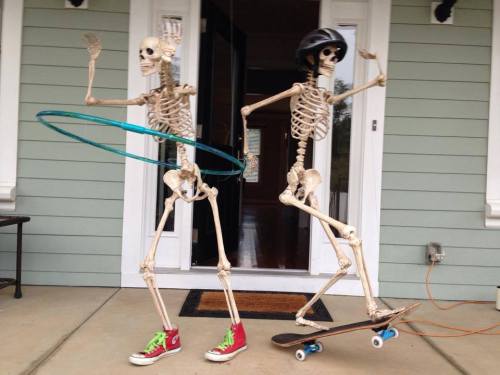 spookydeerchild: kristenraemiller:  For the month of October ‘til Halloween, my dad changes up the scene of these 2 skeletons on his front porch each day for the neighbors to check out. Very creative!  Peaceful times before the skeleton war 