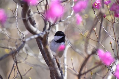 Sex way-out-there:Stopping by Botanical Gardens pictures