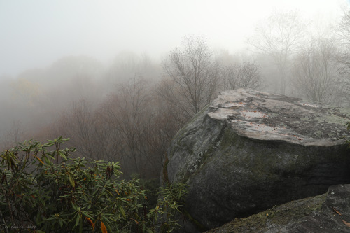 vandaliatraveler:When I reached the Cheat River Canyon this past Saturday morning, the fog was so he