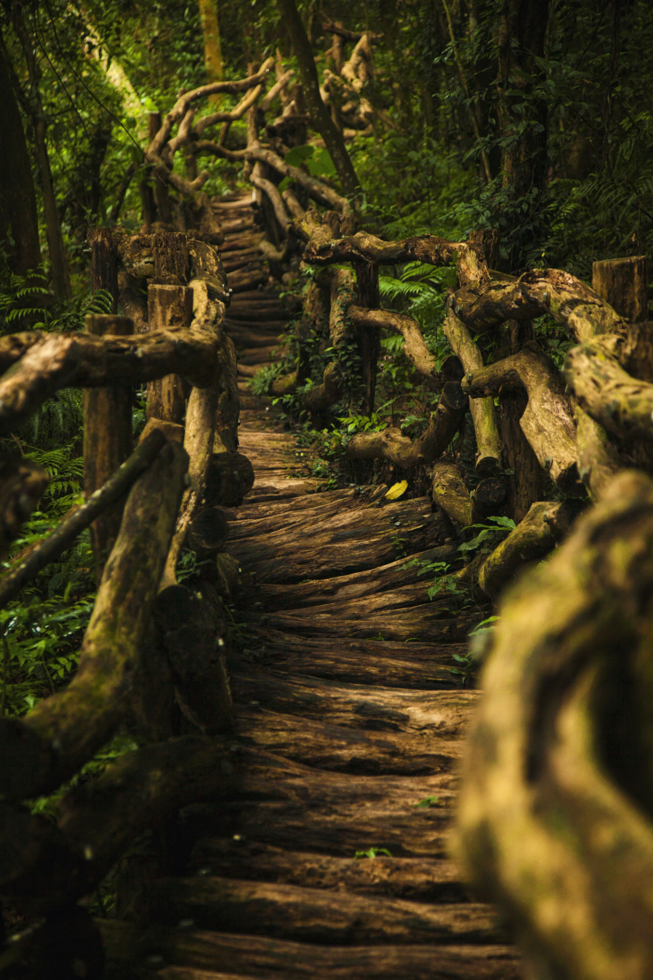 heaven-ly-mind:  Another dark path