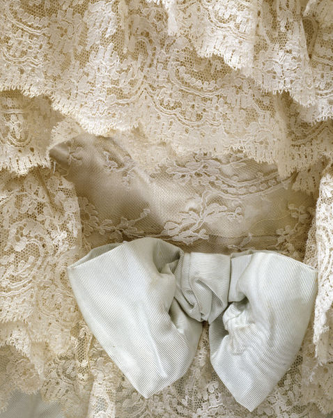 fripperiesandfobs:  Ball gown (details) ca. 1885 From the V&amp;A 