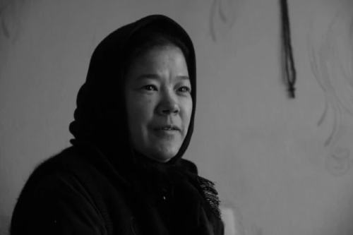 a kazakhstani novice