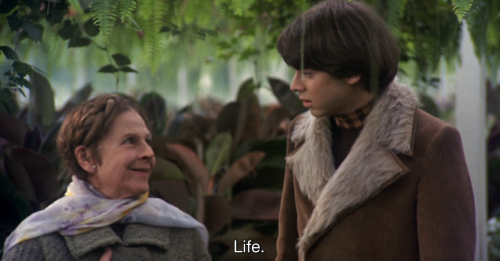 hirxeth: Harold and Maude (1971) dir. Hal Ashby