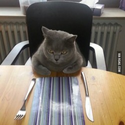 9gag:  When your mom says food aren’t ready