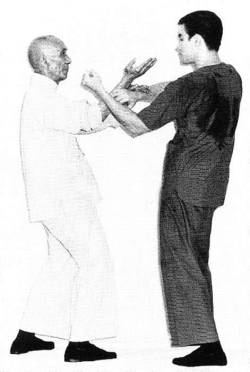 kungfu-taichi-martialarts:  Bruce lee and IP Man