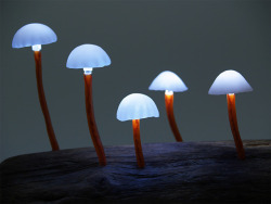 nopenothanks:  vforenterasan:  File this under coolest desk lights of all time. Japanese designer Yukio Takano of The Great Mushrooming builds these fun lights using LEDs embedded in synthetic mushrooms that at a quick glance are passable for the real