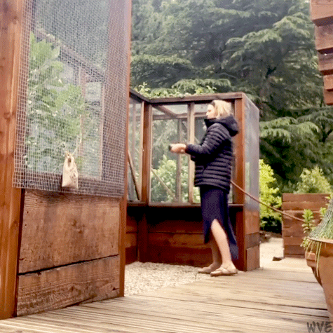 wandavisionedits:Elizabeth Olsen, method acting gardening