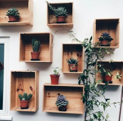 I love this and need to do this for my plants
