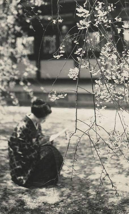 paolo-streito-1264:Kurokawa Suiza. Temple Garden, Japan, 1910.