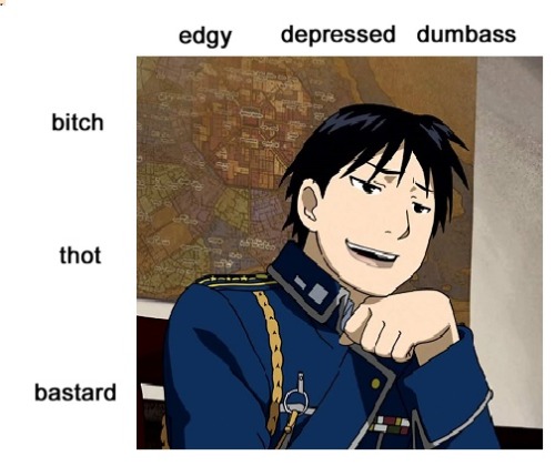 lesbianbakura: i was gonna make one of these charts for some fma characters but realized roy could f