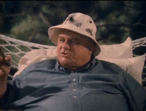 Evening Shade (TV Series) - ’Three Naked Men: Part 1,’ S2/E1 (1991), Charles Durning as Dr. Harlan E