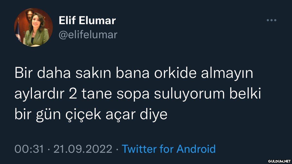 Elif Elumar @elifelumar...