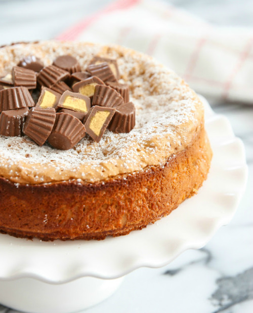 nom-food:  3 ingredient flourless peanut butter cake