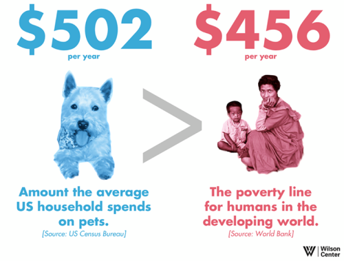 Mind-blowing: the average American household spends more on its household pets than the poverty line