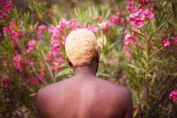 lehroi:  Ryan McGinley Blonde Oleander, 2013.