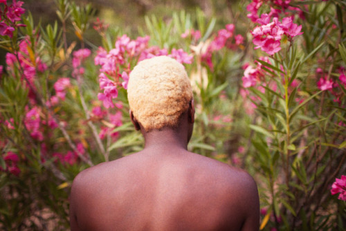 lehroi:  Ryan McGinley Blonde Oleander, 2013. 