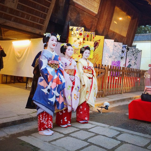 This coordinate owned by Tomikiku okiya (Gion Higashi) is for senior maiko and iscurrently being wor