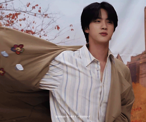 A V Extra Model