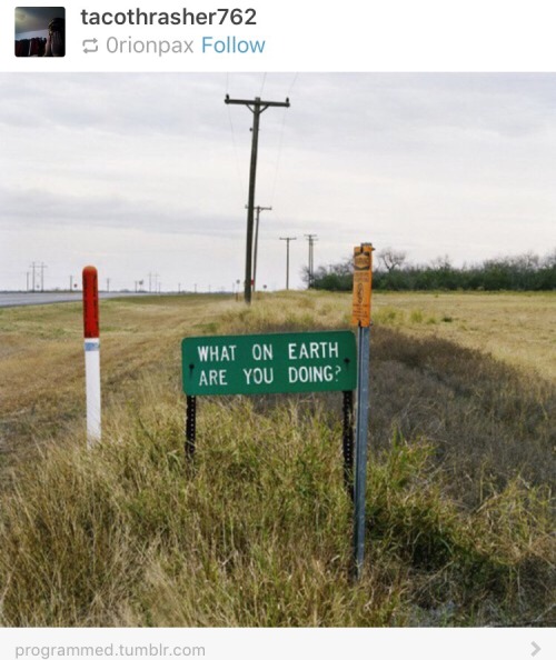 no-no-no-hell-no:  rudegyalchina:  My Dash did a thing   Originally posted by adultum   