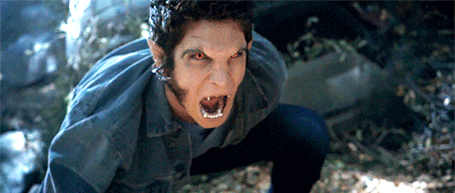 scottstiles:Happy Scott McCall Day! True Alpha Scott ＼(｀0´)／*:･ﾟ✧