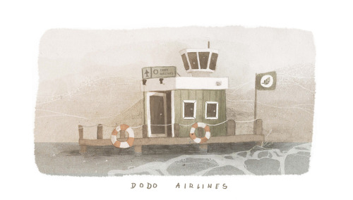 dodo airlines // foggy twitter | instagram | second tumblr