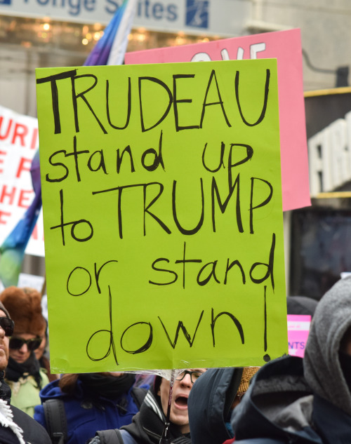 Signs from the National Day of Action against Islamophobia and White Supremacy in Toronto. Lots of c