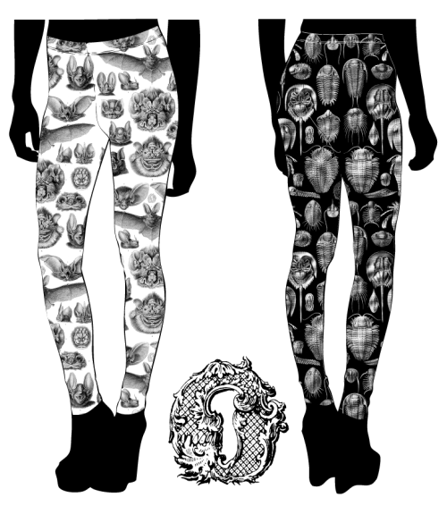 Ernst Hackel inspired natural history leggings.25% off with code “TUMBLR”. Now through M