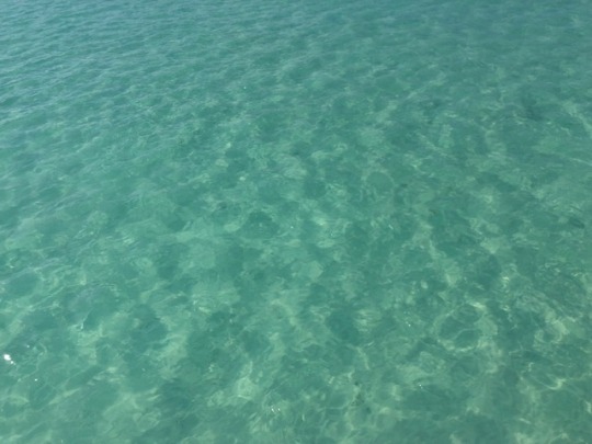 Dominican Republic. I was on a boat this day, snorkled and saw a shark and barracuda. I played in the water and didn’t get out until it was time to leave. A part of my spirit lies there now.