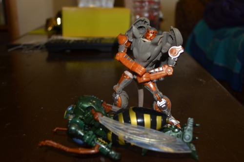 Some more in-hand images of generations Rattrap.