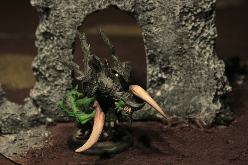 The incredibly talented Gothscum photographed some of my painted Hordes models and made them lo