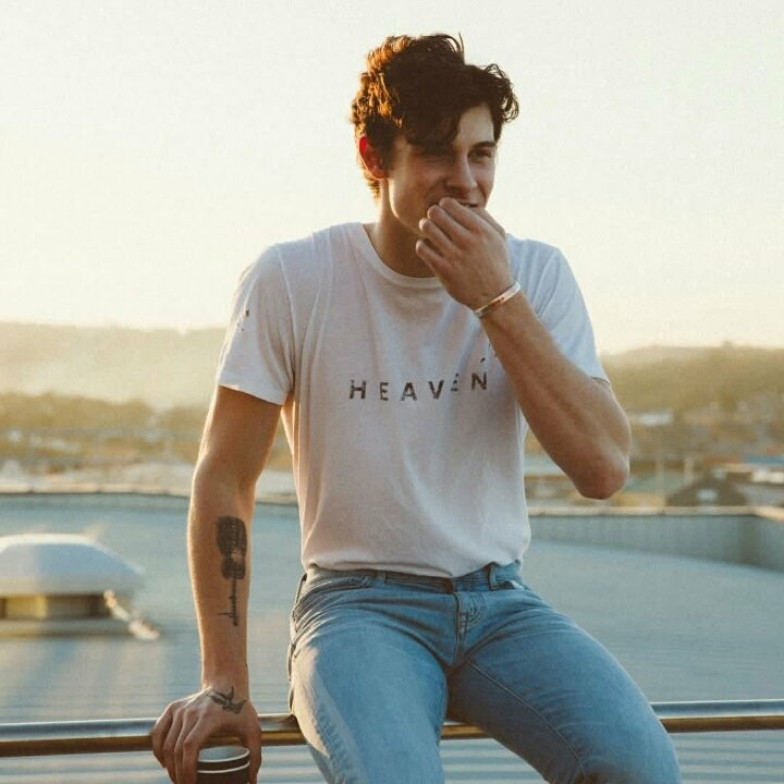 shawn mendes blue jeans