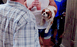 deanwnchestcr:Happy Birthday, Jensen Ross Ackles! (March 1, 1978)Actor. Director. Husband. Father.