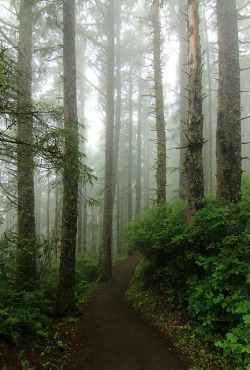 outdoormagic:  Explorations on the Oregon Coast by Cole Chase Photography on Flickr.