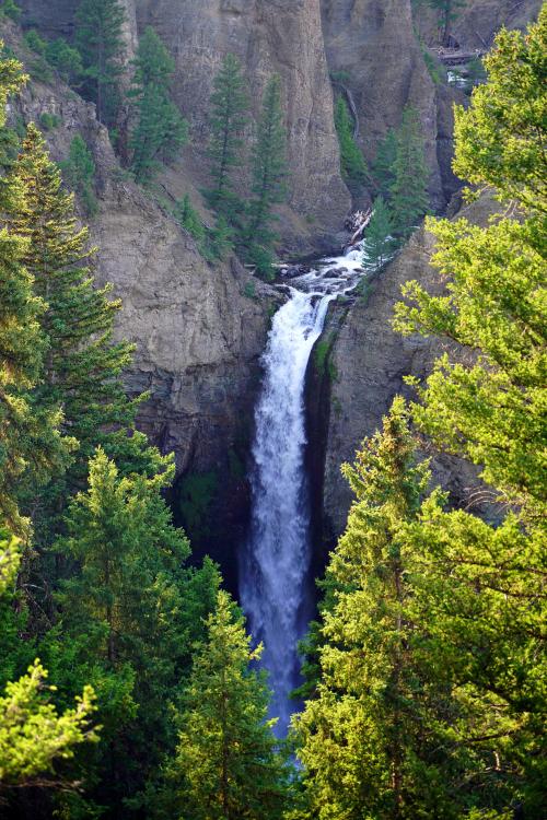 amazinglybeautifulphotography:  Yellowstone Waterfall [OC] [2732x4096] - Author: saigonk on reddit