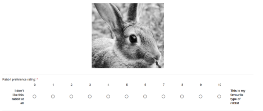 SCIENCE NEEDS YOU TO LOOK AT BUNNIES