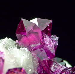 ifuckingloveminerals:  Roselite, Calcite Morocco