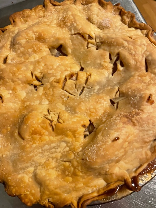 Grandmas Apple Pie Recipe