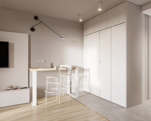 Three Modern Apartment Interiors Under 40 Square Meters (With...