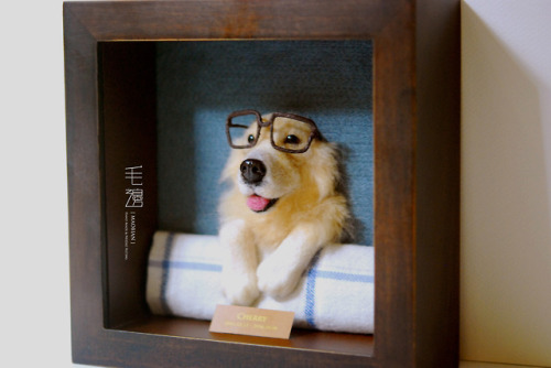 ▋ Golden Retriever ( custom-made )Pet Portrait  Frame is approximately 18 x 18 cm