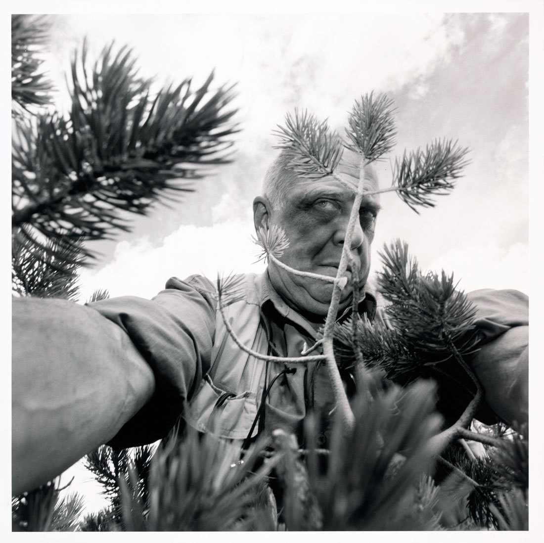 museumuesum:  Lee Friedlander California, 1997 Gelatin silver print, 14 15/16 x