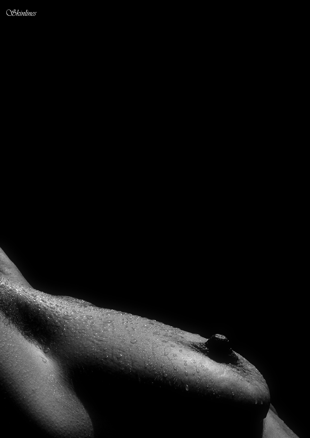skinlines:  © Skinlines 2017