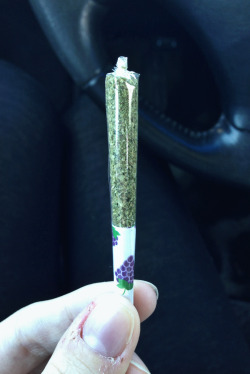 nervous-princess:  grape flavored joint,